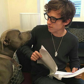 Логотип @finngley - –𝐝𝐚𝐫𝐭𝐟𝐢𝐧𝐧𝐤 𝐜𝐡𝐚𝐭 ::🌷