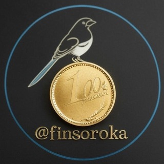 Логотип @finsorok - finsorok | инвестиции и бизнес-мотивация
