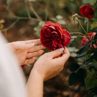 Логотип @fioridimodestia - 🌺Fiori di Modestia🌺