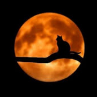 Логотип @first_astrology_tarot - Астрология | Таро | Эзотерика