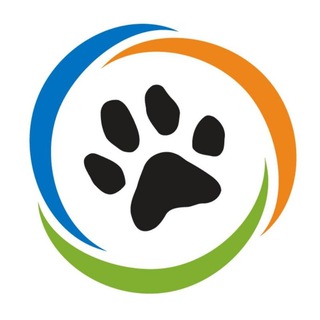 Логотип @firstanimalchannel - Ох, уж эти животные❤Видео