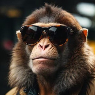 Логотип @firstofallofall - Мемопауза