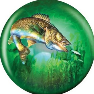 Логотип @fish_rus0 - Fishing in Russia🎣