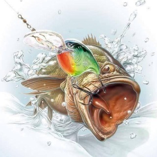Логотип @fish_tv44 - Первый Рыбацкий | Рыбалка 🎣