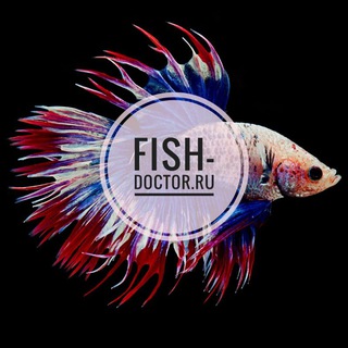 Логотип @fishdoctor1 - Fish Doctor 🐠