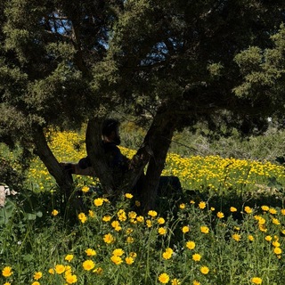 Логотип @fisherstream - fisheR