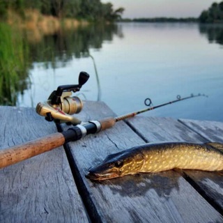 Логотип @fishing161vlad - Рыбалка и Охота