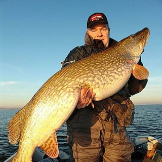 Логотип @fishing_russia_official - Рыбалка