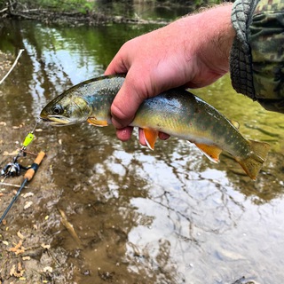 Логотип @fishingprim - Fishingprim