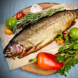 Логотип @fishkafan - Fishka