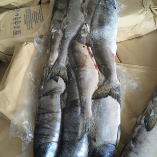 Логотип @fishmarketsale - Рыбный Рынок России