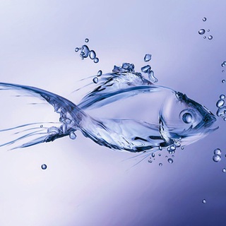 Логотип @fishslives - fish ❤️