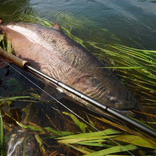 Логотип @fishtours - FishTours