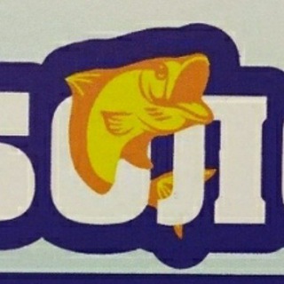 Логотип @fisingsolutions - Корюшка дамба онлайн