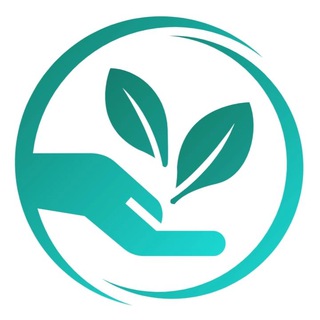 Логотип @fitostorspb - Fito Stor - Фито студия дизайна