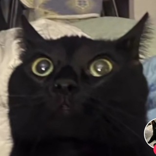 Логотип @fixxelprod - Fixxel Production