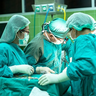 Логотип @fizio_terapevt - Физиотерапия | Здоровье | Медицина