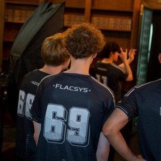 Логотип @flacsys - fLACSYS