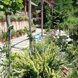 Логотип @flagmanhotel123 - Отель Флагман Витязево Анапа