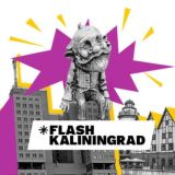 Логотип @flashkaliningrad - FlashKaliningrad
