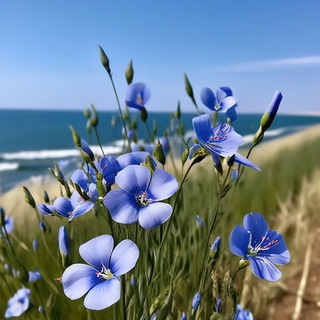 Логотип @flaxindustry - Лён | Семена | Промышленность | С.-Х. 🌾