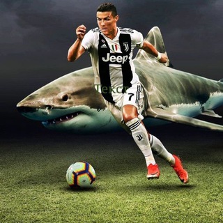 Логотип @flaybet - FlayBet