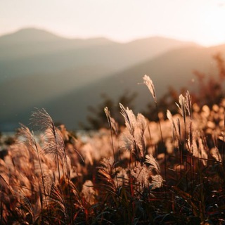 Логотип @flic_kr - Stardust