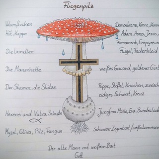 Логотип @fliegenpil - 👑 Jesus Christus unser Fliegenpilzmessias 🍄❤️ die Wahrheit