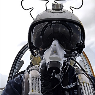 Логотип @flightinstrucror - Flight_instructor