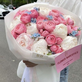 Логотип @fllowweerrrr - 🌷