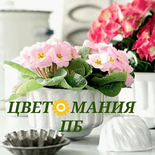 Логотип @flo_pb - 🍀ЦВЕТ🌻МАНИЯ ЖК ПБ 🌿🌺