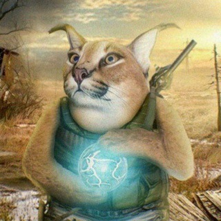 Логотип @flopkachan - Берлога шлепы