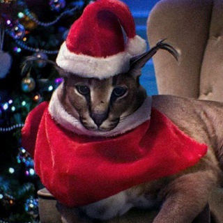 Логотип @floppa_memes - Большой Шлёпа