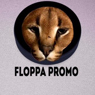 Логотип @floppachataue - FLOPPA PROMO (chat)