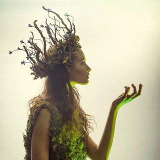 Логотип @flora_fauna_planet - МАТУШКА ПРИРОДА