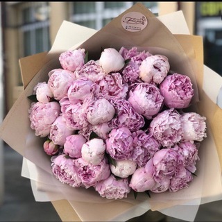 Логотип @flora_samarkand - Студия флористики FLORA 💐