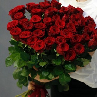 Логотип @florado06 - florado06 🎁 🎁
