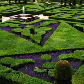 Логотип @floralgarden - Сад и огород