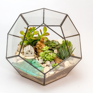 Логотип @florariumflo - Flo флорариумы/мастер-классы суккуленты