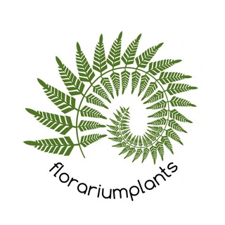 Логотип @florariumlplants - Florariumplants Флорариумплантс