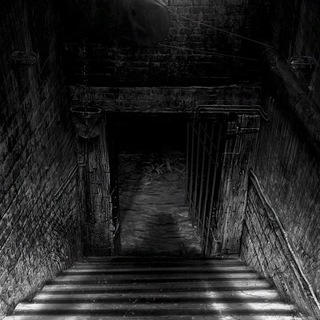 Логотип @floratordenecrotalk - Подвал убиратора мертвых растений