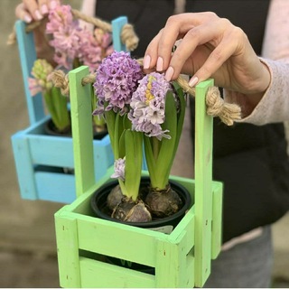 Логотип @florboxby - FlorBox