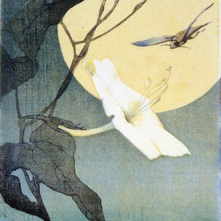 Логотип @florensluna - luna flore