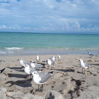 Логотип @floridaarenda - ФЛОРИДА АРЕНДА КВАРТИР