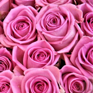 Логотип @florytale - Flory Tale Цветочный бутик