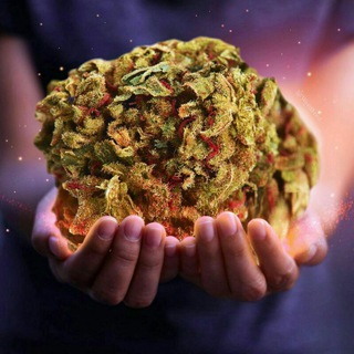 Логотип @flower_powerr - bakardi