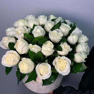 Логотип @flowers_tash - 𝘍𝘪𝘰𝘯𝘢 𝘍𝘭𝘰𝘸𝘦𝘳𝘴