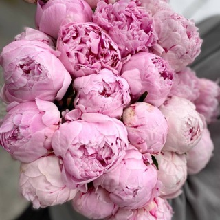 Логотип @flowers_trend - Flowers_trend.42 Цветы Кемерово