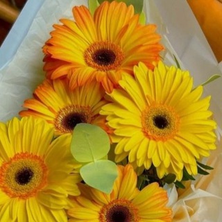 Логотип @flowersbuket1 - Цветы Букеты Доставка🚕. Круглосуточно. Брянск