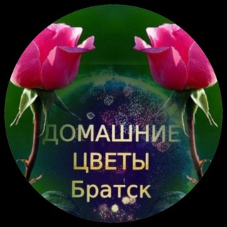 Логотип @flowershouse2023 - ДОМАШНИЕ ЦВЕТЫ БРАТСК